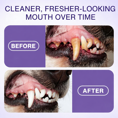 KLYVENA™ Advanced Pet Oral Spray | Fresh Breath, Plaque Biofilm & Gum Care — No Brushing